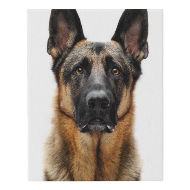 German Shepherd Sitting Up Faux Canvas Print (Front)