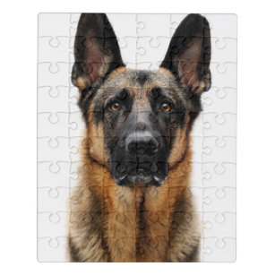 My childhood puzzle from the 90ies #1: German Shepherds (#13053