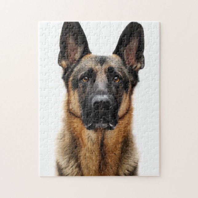 German Shepherd Sitting Up Jigsaw Puzzle (Vertical)