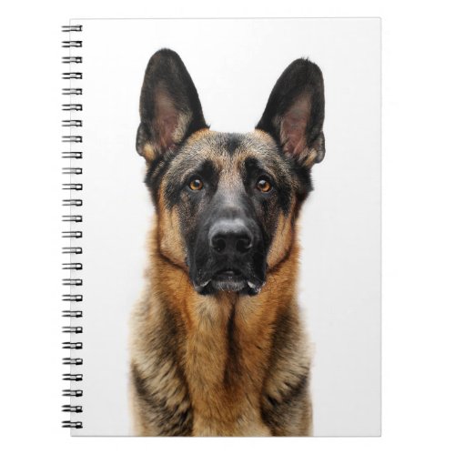 German Shepherd Sitting Up Notebook