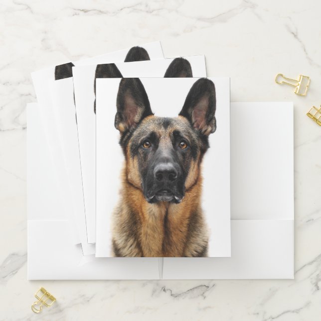 German Shepherd Sitting Up Pocket Folder (In Situ)
