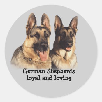 German Shepherd Stcker Classic Round Sticker by normagolden at Zazzle