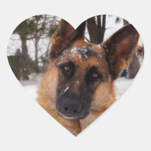 German Shepherd Stickers