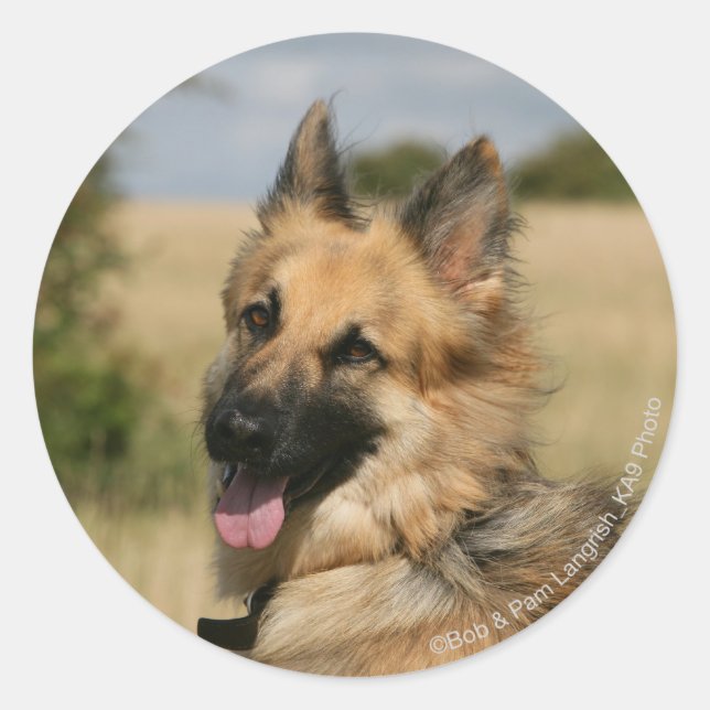 German Shepherd Sticking Tongue Out Classic Round Sticker (Front)