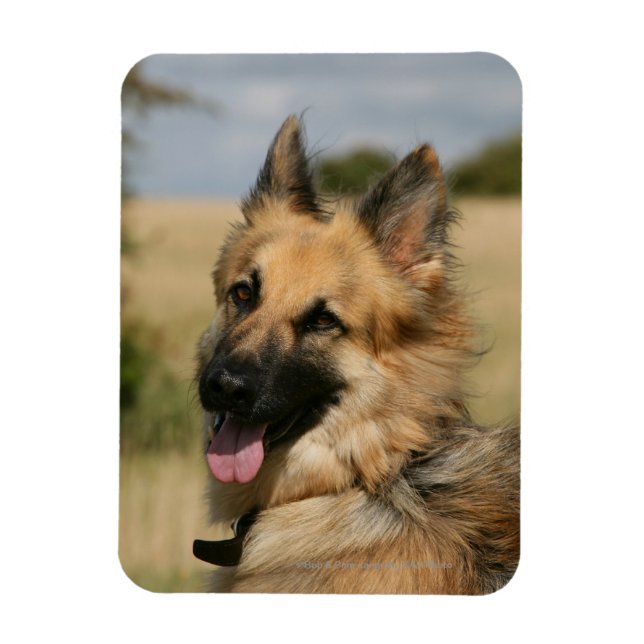 German Shepherd Sticking Tongue Out Magnet (Vertical)