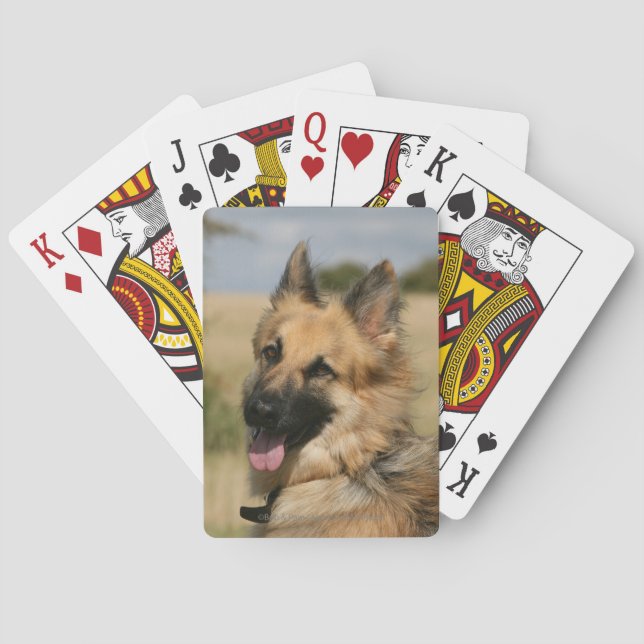 German Shepherd Sticking Tongue Out Poker Cards (Back)