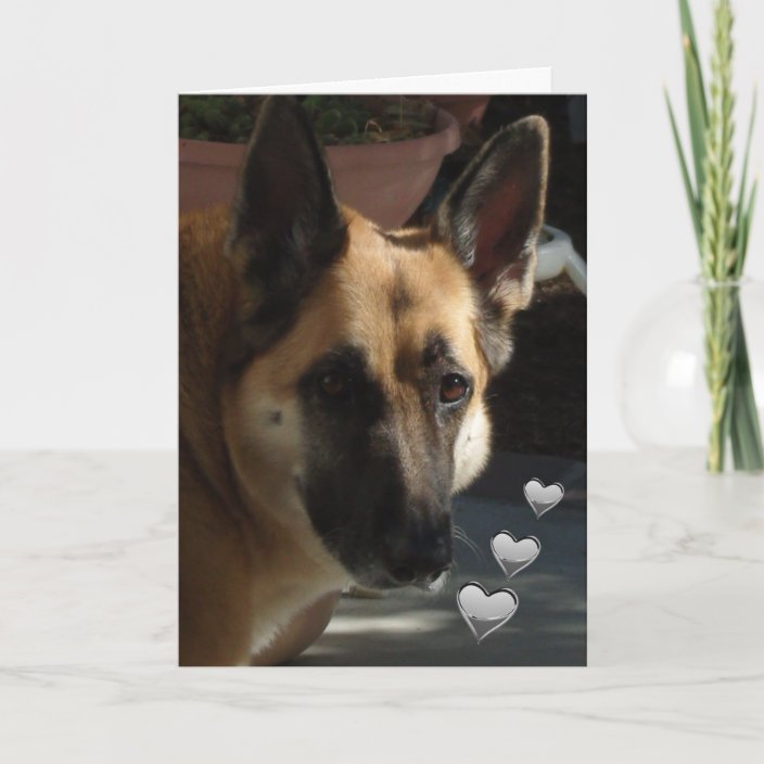 german shepherd valentine