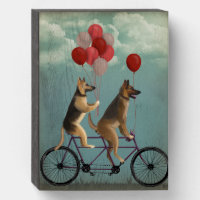 German Shepherd Tandem