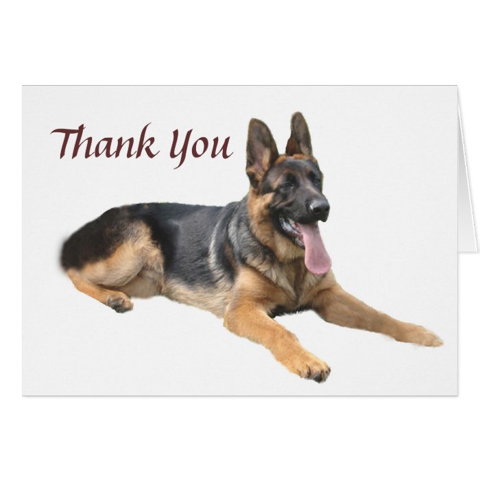 German Shepherd Thank You Card