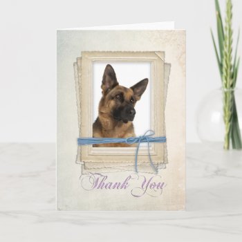 German Shepherd Thank You Card by ForLoveofDogs at Zazzle