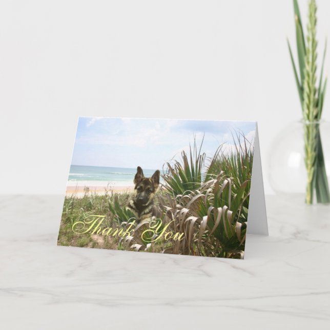 German Shepherd Thank You Card Beachgrass (Front)