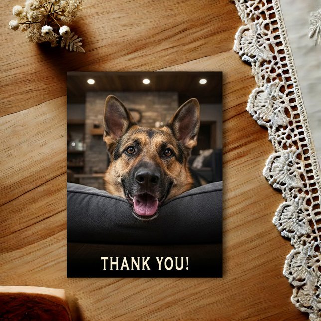 German Shepherd Thank You Postcard (Creator Uploaded)