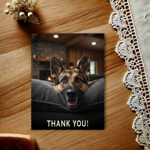 German Shepherd Thank You Postcard