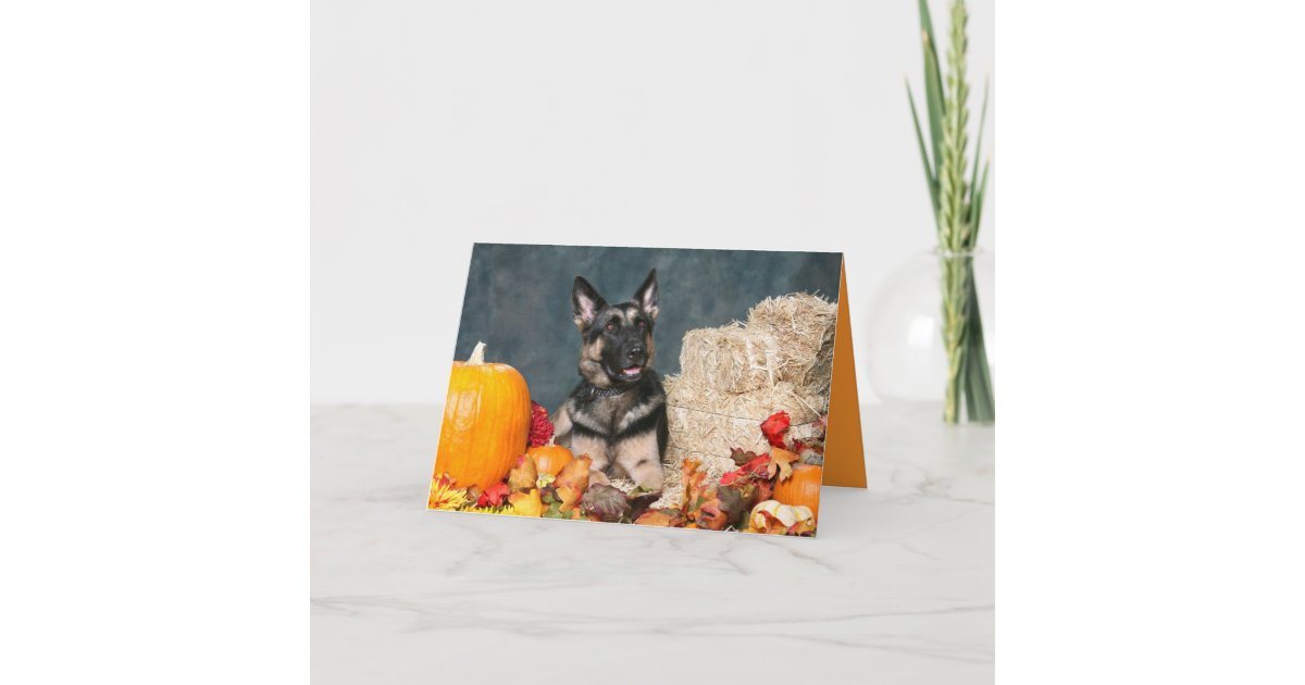 German Shepherd Thanksgiving Card | Zazzle