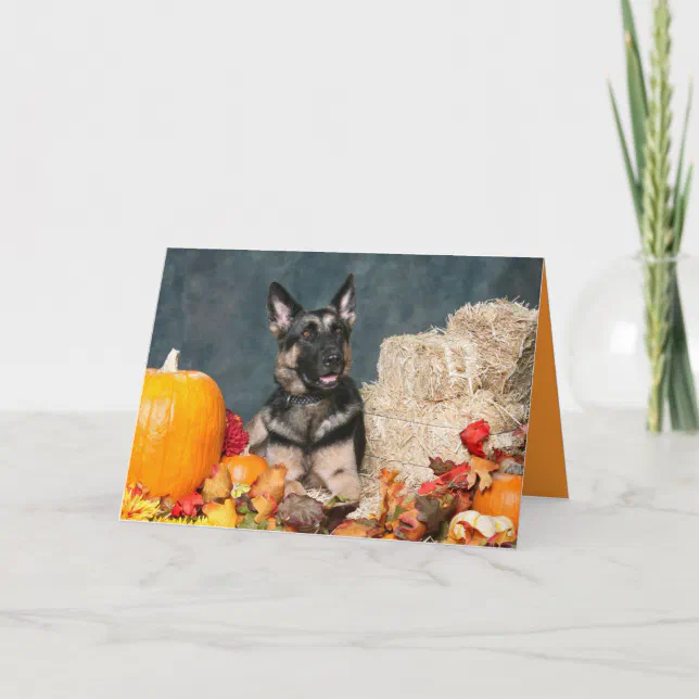 German Shepherd Thanksgiving Card | Zazzle