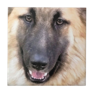 GERMAN SHEPHERD TILE