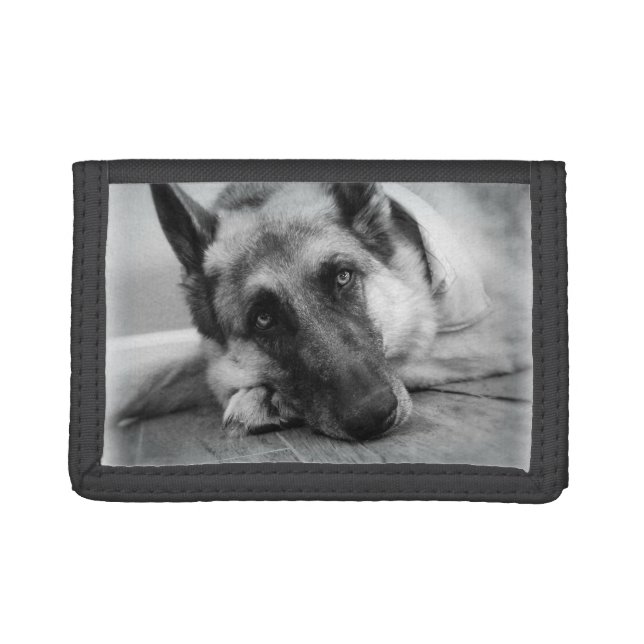 German Shepherd Tri-fold Wallet (Front)