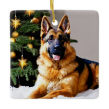 German Shepherd Under Christmas Tree