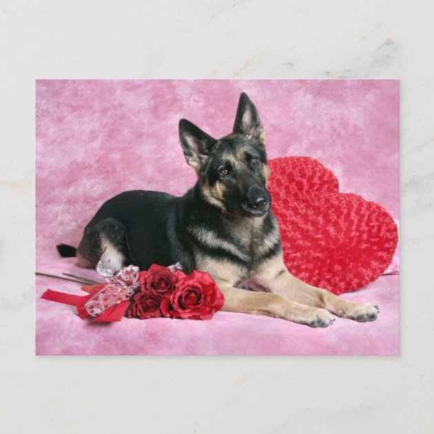 german shepherd valentine