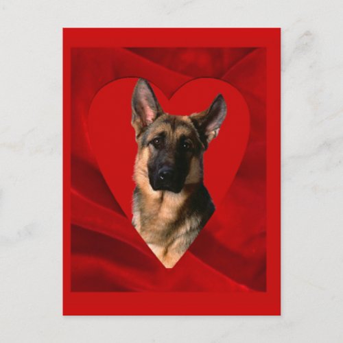 German Shepherd Valentine Holiday Postcard