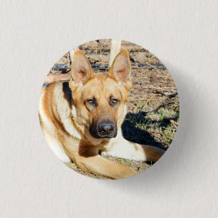 German Shepherd Wake Up,   Key Ring Button