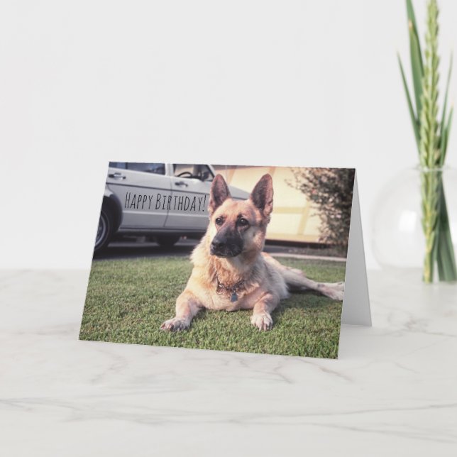 German Shepherd, Watchful Birthday Pet Lover Dog Card (Front)