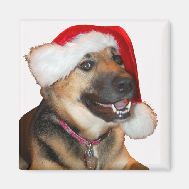 German Shepherd wearing a Santa Claus Hat Magnet (Front)