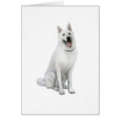 German Shepherd - White (Front)