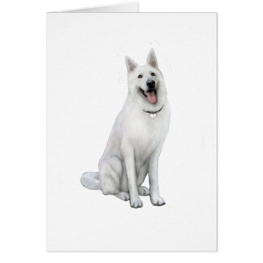 German Shepherd - White (Front)