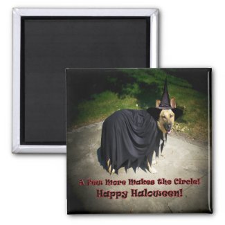 German Shepherd Witch Dog Magnets