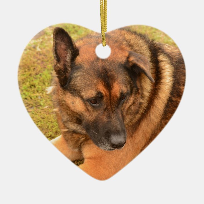 German Shepherd With One Floppy Ear Ceramic Ornament Zazzle Com