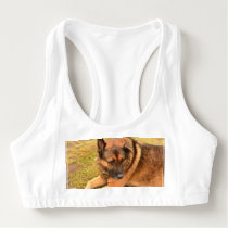 German Shepherd with One Floppy Ear Sports Bra German Shepherd with One Floppy Ear Sports Bra