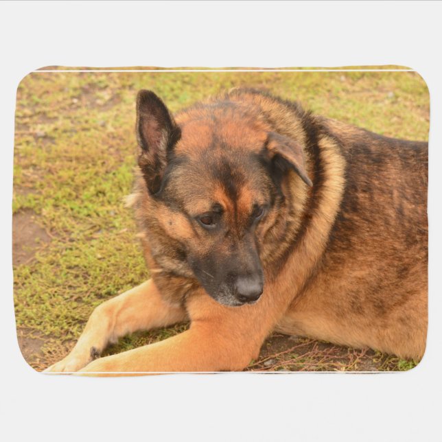 German Shepherd with One Floppy Ear Stroller Blanket (Horizontal)