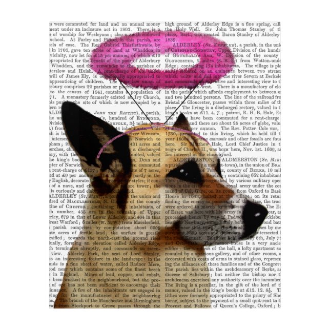 German Shepherd With Pink Halo Acrylic Print (Front)