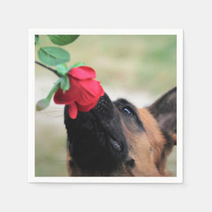 german shepherd with rose napkins