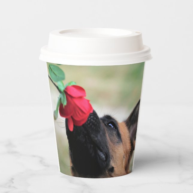 german shepherd with rose paper cups (Front)