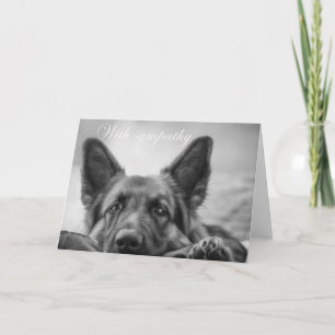 german shepherd with sympathy card