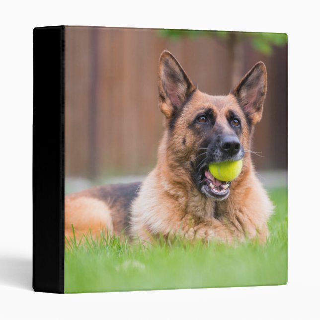 German Shepherd With Tennis Ball 3 Ring Binder (Front/Spine)