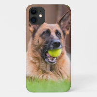 German Shepherd With Tennis Ball