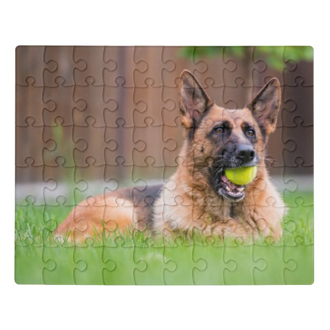 German Shepherd With Tennis Ball Jigsaw Puzzle (Puzzle Horizontal)