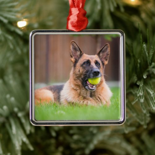 German Shepherd With Tennis Ball Metal Ornament