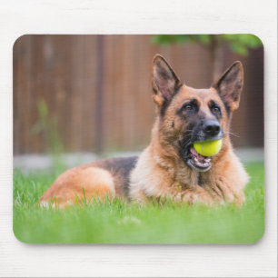German Shepherd With Tennis Ball Mouse Pad