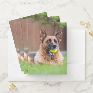 German Shepherd With Tennis Ball Pocket Folder