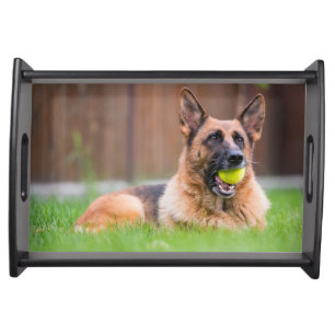 German Shepherd With Tennis Ball Serving Tray