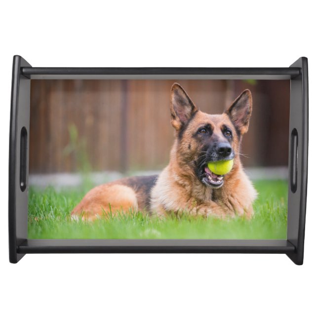 German Shepherd With Tennis Ball Serving Tray (Front)