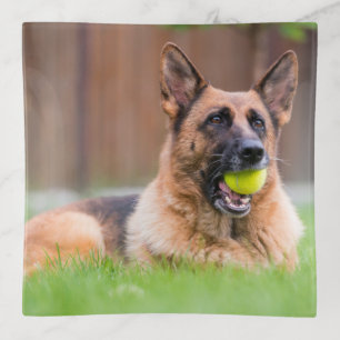 German Shepherd With Tennis Ball Trinket Tray