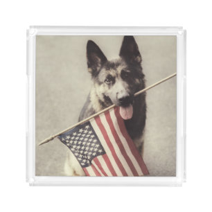 German Shepherd With US Flag Acrylic Tray