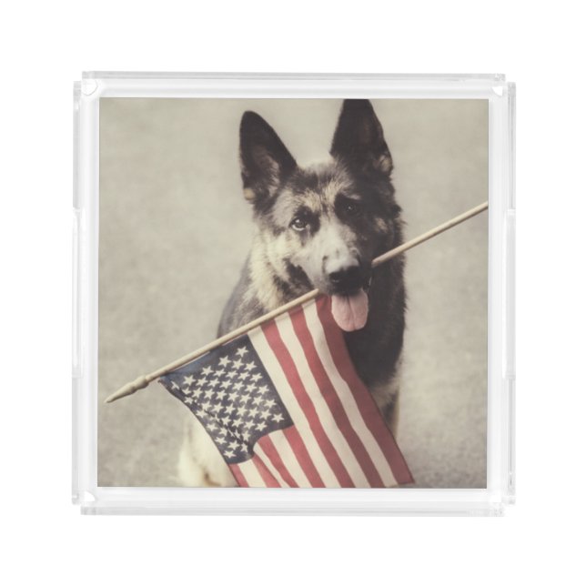 German Shepherd With US Flag Acrylic Tray (Front)