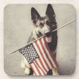 German Shepherd With US Flag Beverage Coaster