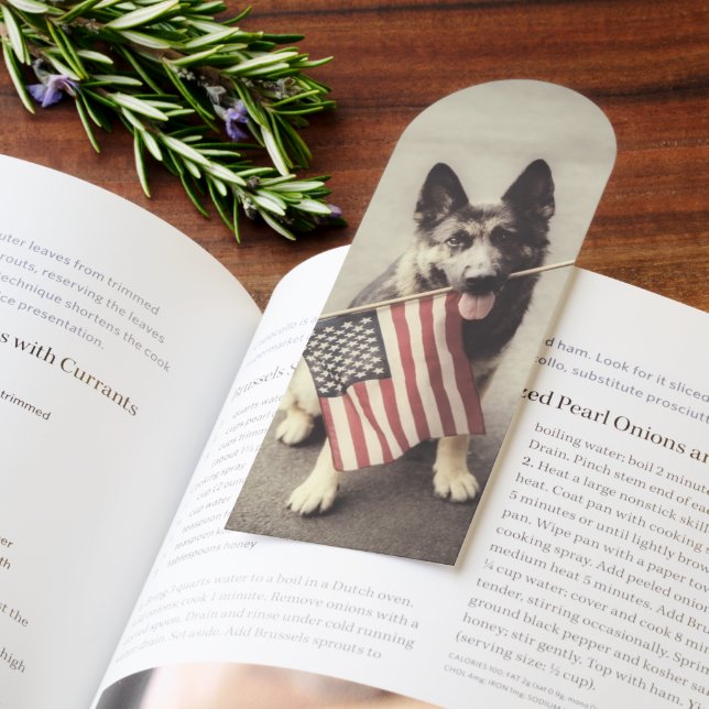 German Shepherd With US Flag Bookmarks (Book)